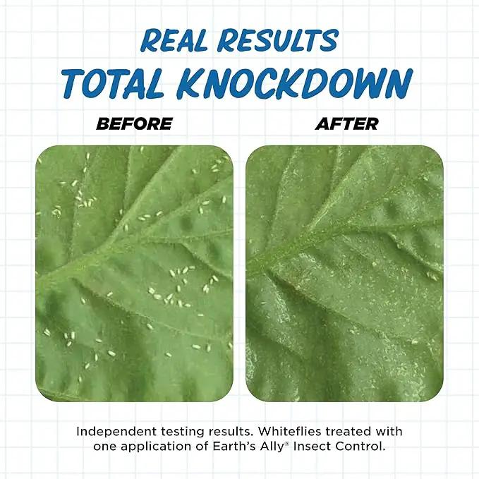 Earth's Ally Insect Control for Plants Ready-to-Use 24 oz | Safe Outdoor & Indoor Plant Insecticide, Spider Mite, Aphid & Mealybug Killer - Effective Spray for Organic Garden & Household Plants by GreenHaven Gardens