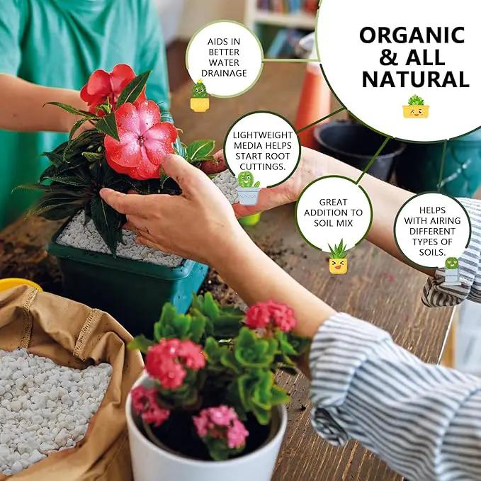 40QT Horticultural Perlite Bulk, Organic Perlite for Plants, Course Perlite for Gardening, for Plants Indoor, for Houseplants, to Promotes Soil Root Growth, and Water Drainage and Plant Growth(3-6mm) by GreenHaven Gardens