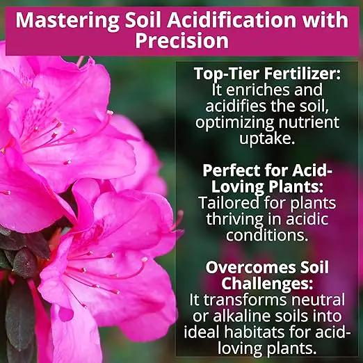 8-4-8 Acidic Fertilizer for Azaleas, Camellias (Camelia), Hydrangeas, Blueberries, Gardenias, Magnolia Trees, Evergreens, and Rhododendrons - Ideal Iron-Rich Plant Food (5 QUARTS) by GreenHaven Gardens