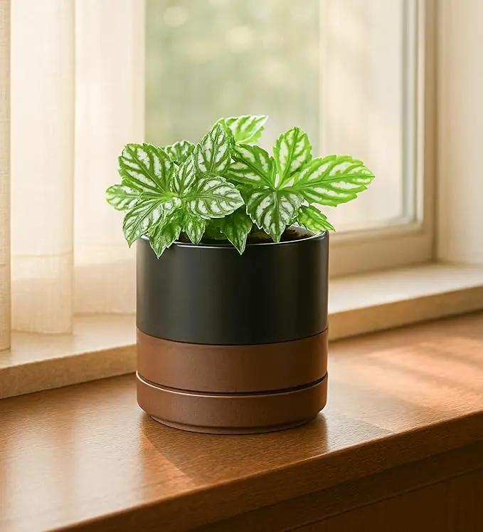 D'vine Dev 3.5 Inch & 4.7 Inch Ceramic Planter Pots for Plants with Drainage Hole and Saucer, X-Small Plant Pots Set, Black/Speckled Tan, 94-G-XS-7 by GreenHaven Gardens