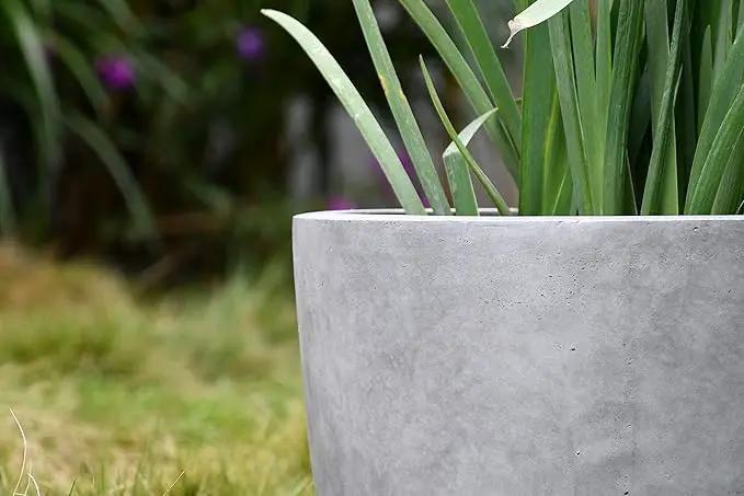 Kante 14 Inch Dia Round Concrete Planter, Indoor Outdoor Large Plant Pot with Drainage Hole and Rubber Plug for Home Patio Garden, Natural Concrete by GreenHaven Gardens