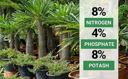 8-4-8 Professional Palm Tree Fertilizer Plant Food; for Indoor Potted Plants and Outdoor Landscape Palm Trees; Quick-Release Nitrogen Fertilizer and Continuous Feeding (1 Quart) by GreenHaven Gardens