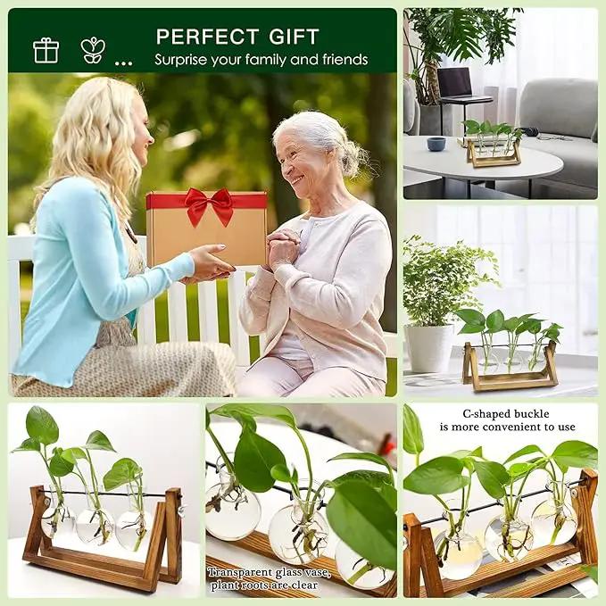 Kingbuy Desktop Glass Planter Iron and Wooden Stand Plant Terrariums for Indoor Office Desk Decor Accessories, 3 Bulb Vases, Brown by GreenHaven Gardens