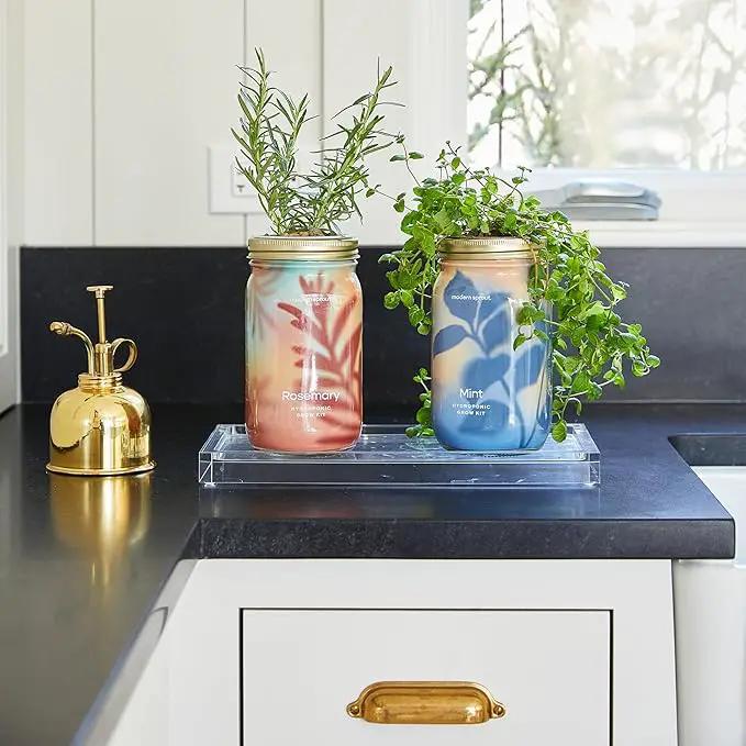 Modern Sprout Mason Garden Jar - Self-Watering Hydroponics Growing System Kit with Organic Herb Seeds - Jar Planter for Indoor Herb Garden - Seed Starter Kit - Home Decor & Gifting - Rosemary by GreenHaven Gardens