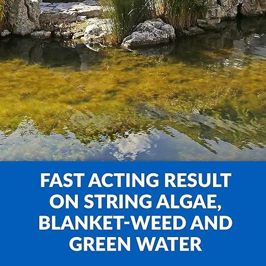 CrystalClear Algae D-Solv Pond Algae Control, Fast-Acting EPA Registered Algaecide, Use in Fountains & Outdoor Ponds Containing Koi & Other Fish, Treats 5,760 Gallons, 16 Ounces by GreenHaven Gardens