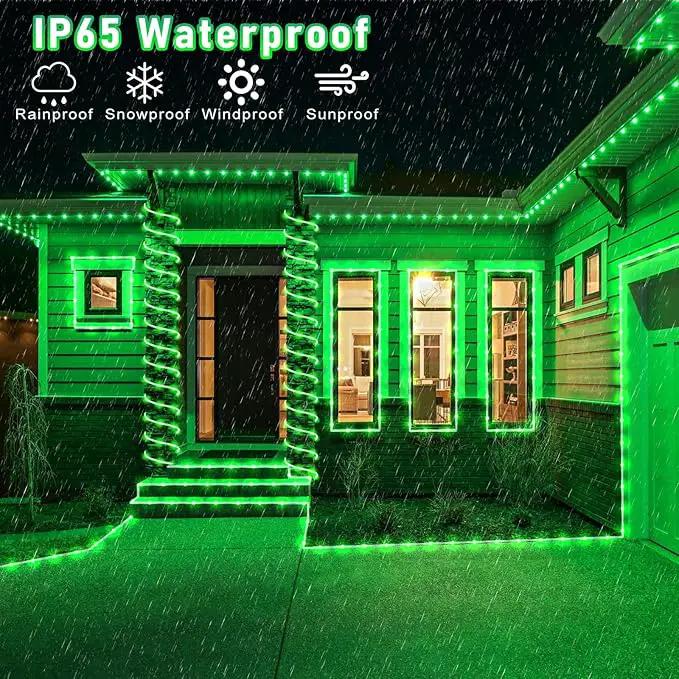 66FT 200 LED Rope Lights for Outside, St. Patrick Day Fairy String Lights with Waterproof 8 Modes, Flexible and Connectable Plug in Twinkle Lights for Indoor Patio Pool Party Holiday Decor, Green by GreenHaven Gardens