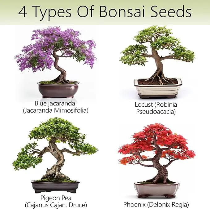 Bonsai Tree Kit – 4X Unique Japanese Bonzai Trees | Complete Indoor Starter Kit for Growing Bonsai Plants with Tools & Planters – Gardening Gifts for Women & Men by GreenHaven Gardens