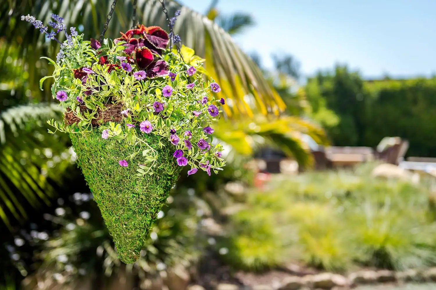 SuperMoss (29386 MossWeave Hanging Basket | Outdoor Hanging Planter with Moss | Decorative Plant Hanger for Porch, Balcony, Garden & Home Décor, Cone with Wicker Rim, Set of 2 (S/M), Green by GreenHaven Gardens