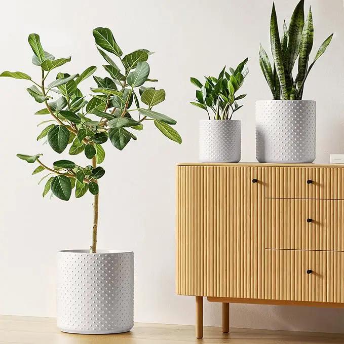 LE TAUCI 6+8+10 Inch Plant Pots Indoor, Ceramic Planter Pots for Plants, Raised Dots Flower Pots Indoor for Home and Office, Mid-Modern Century Pots Indoor with Drainage Hole and Silicone Plug, White by GreenHaven Gardens
