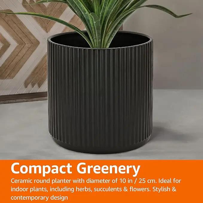 Amazon Basics Fluted Ceramic Round Planter, 10-Inch, Black by GreenHaven Gardens
