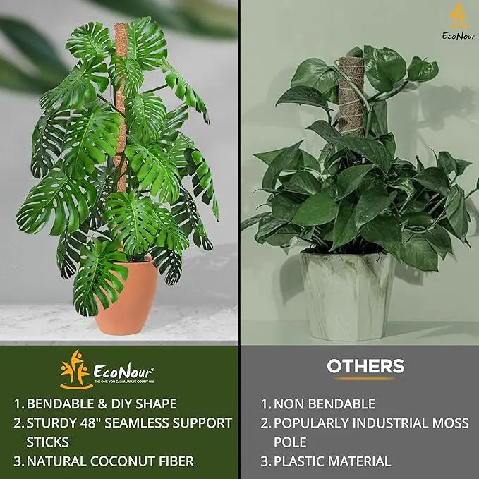EcoNour Moss Pole for Plants – 48 inches | Monstera Plant Support for Plant Climbing and Growth | Elevate Your Indoor Garden, Plant Support for Indoor Potted Plants to Grow Upwards by GreenHaven Gardens
