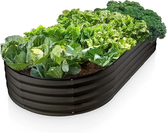 Galvanized Raised Garden Beds Outdoor // 6×3×1 ft Planter Raised Beds for Gardening, Vegetables, Flowers // Large Metal Garden Box // Patented Tool-Free Design (Black) by GreenHaven Gardens