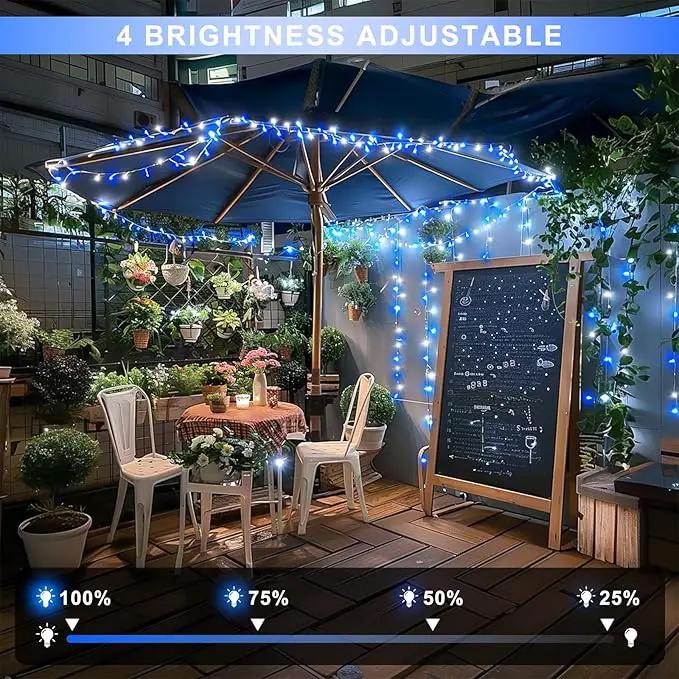 JMEXSUSS Connectable Blue and White Christmas Lights, 8 Modes 100 LED Twinkle String Lights Indoor, Clear Wire Plug-in Christmas String Lights Outdoor Waterproof by GreenHaven Gardens