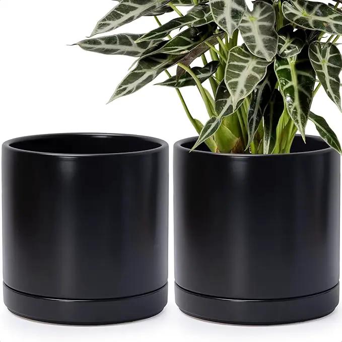D'vine Dev Set of 2 Plants Pots, 10 Inch Ceramic Planter Pot for Plants with Drainage Hole and Saucer, Black, 94-V-E-2 by GreenHaven Gardens
