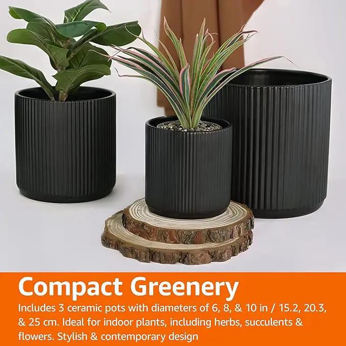 Amazon Basics Assorted Sizes Fluted Ceramic Round Planters, Set of 3, Black, 6-Inch, 8-Inch, 10-Inch by GreenHaven Gardens