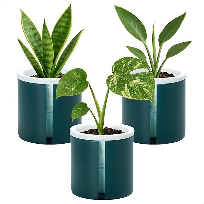 D'vine Dev 4 Inch Design Self Watering Planter for Indoor Plants, White Terracotta Pot with Teal Cylinder Glass Cup, Set of 3,37-Z-A-5-T by GreenHaven Gardens
