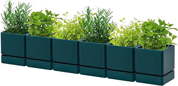 4 Inch Herb Planter Pot, Plastic Planter with Drainage Holes and Saucer, Modern Decorative Gardening Pot for Indoor Plants, Flowers, Herbs, Succulents, Green, Set of 6, 76-Y-C-6 by GreenHaven Gardens