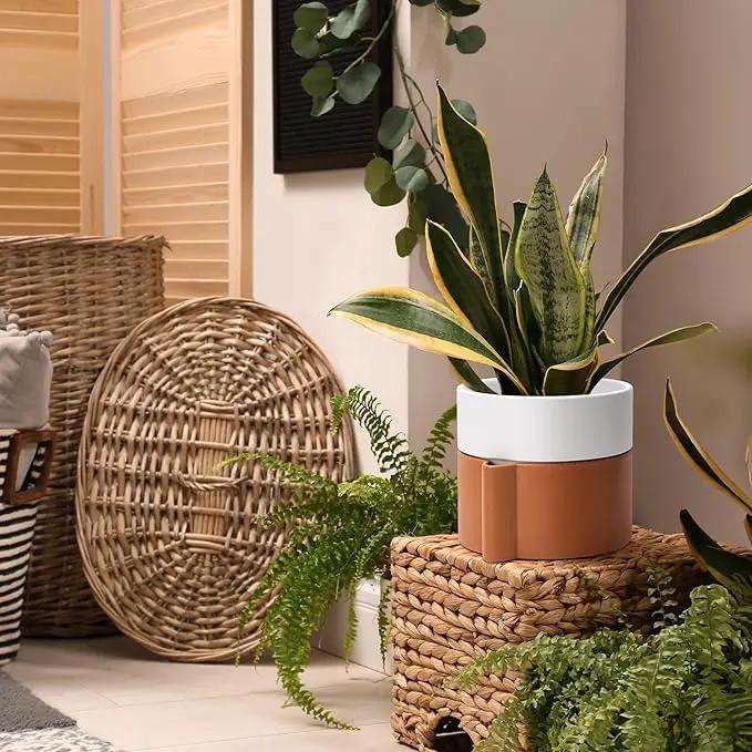 8 Inch Self-Watering Planter Pot with Terracotta Insert, Deep Water Reservoir, and Ceramic-Alike BPA-Free Plastic Planter Pot for Plant, Modern Planter for Houseplants, Terracotta/White, 53-B-T-6 by GreenHaven Gardens