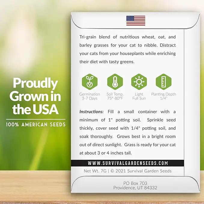 Cat Grass Seed for Planting - 5 Packets with Instructions to Plant & Grow Greens for Your Pet Indoors or Outdoors in a Container or Garden - Non-GMO Heirloom Variety - Survival Garden Seeds by GreenHaven Gardens