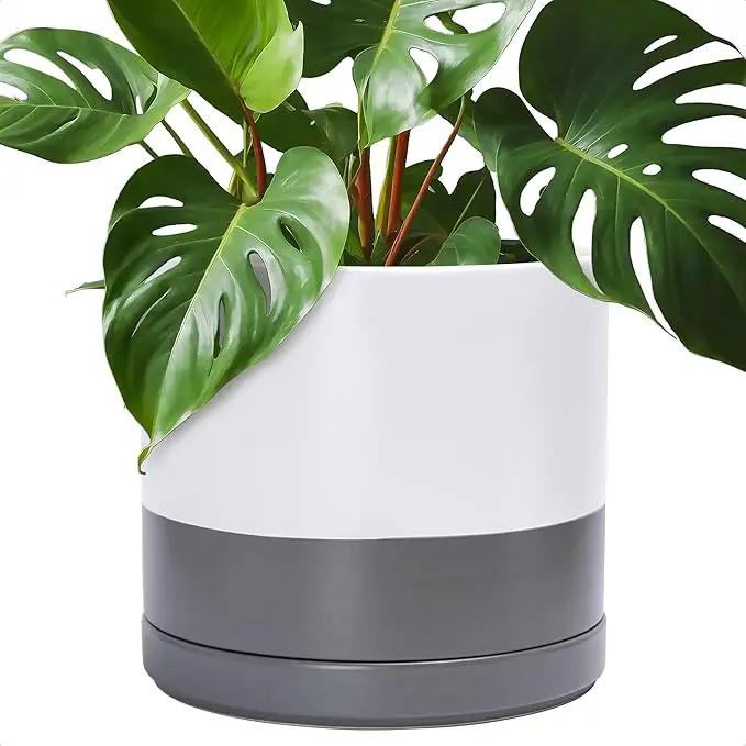 D'vine Dev 14 Inch Ceramic Planter Pot with Drainage Hole and Saucer, Indoor Cylinder Round Planter Pot, White/Speckled Grey, 94-O-G-6 by GreenHaven Gardens
