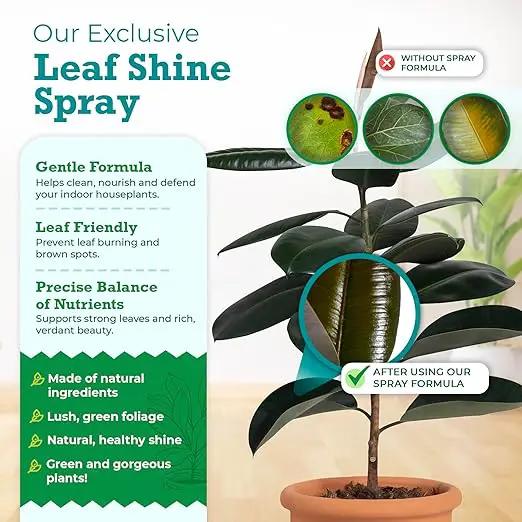 Houseplant Leaf Shine Spray – All-Natural Leaf Cleaner and Gloss for Healthy Shine & Better Photosynthesis | Perfect for House Plants and Foliage | 8 oz by GreenHaven Gardens
