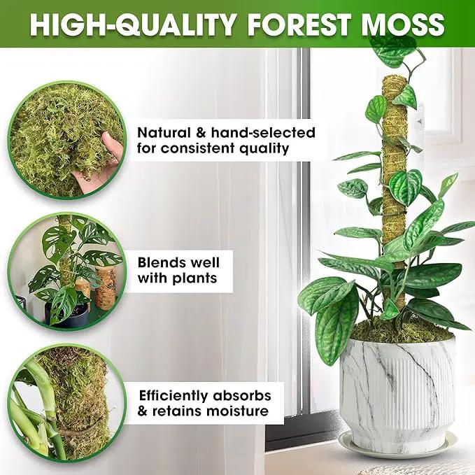 DUSPRO Natural Stackable Moss Pole for Plants Monstera, Forest Moss Sticks, Monstera Plant Support, Handmade Plant Stakes for Indoor Plants for Potted Plant to Grow Upward 02 pcs 22'' by GreenHaven Gardens
