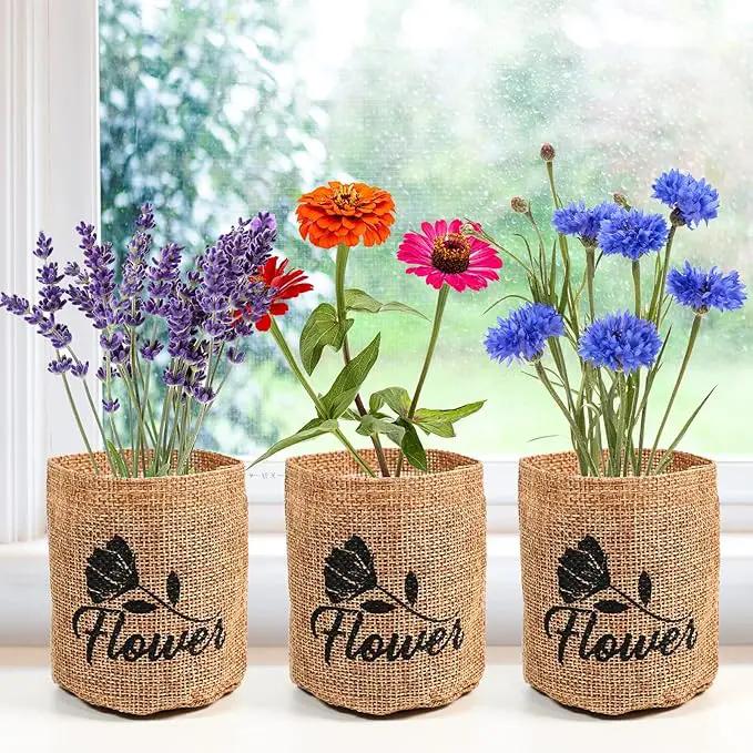 Indoor Daisy Garden Starter Kit with Gardening Tools - Jute Bags, Markers, Soil Disks and Shears, Home Gardening Gifts for Women Men Plant Lovers by GreenHaven Gardens