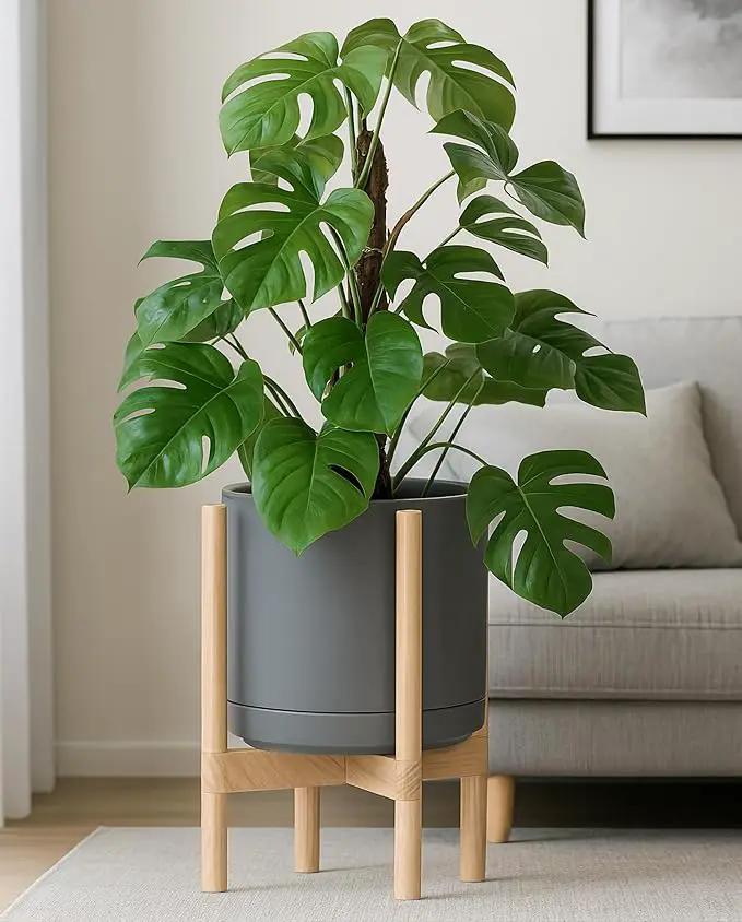 D'vine Dev Ceramic Planter with Natural Stand - 12 Inch Modern Round Flower Pot with Wood Planter Holder, Grey, 55-B-J-3 by GreenHaven Gardens