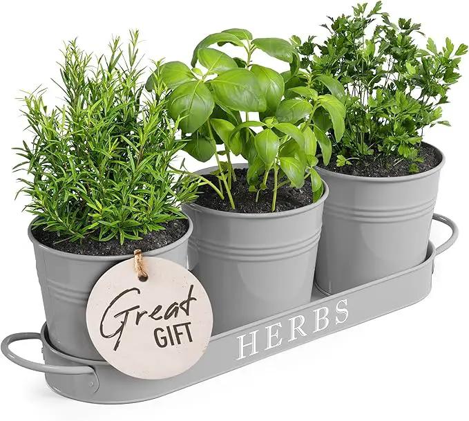 Barnyard Designs Indoor Herb Garden Planter Set with Tray, Metal Windowsill Plant Pots with Drainage for Outdoor or Indoor Plants, Set/3 (Cool Grey) by GreenHaven Gardens