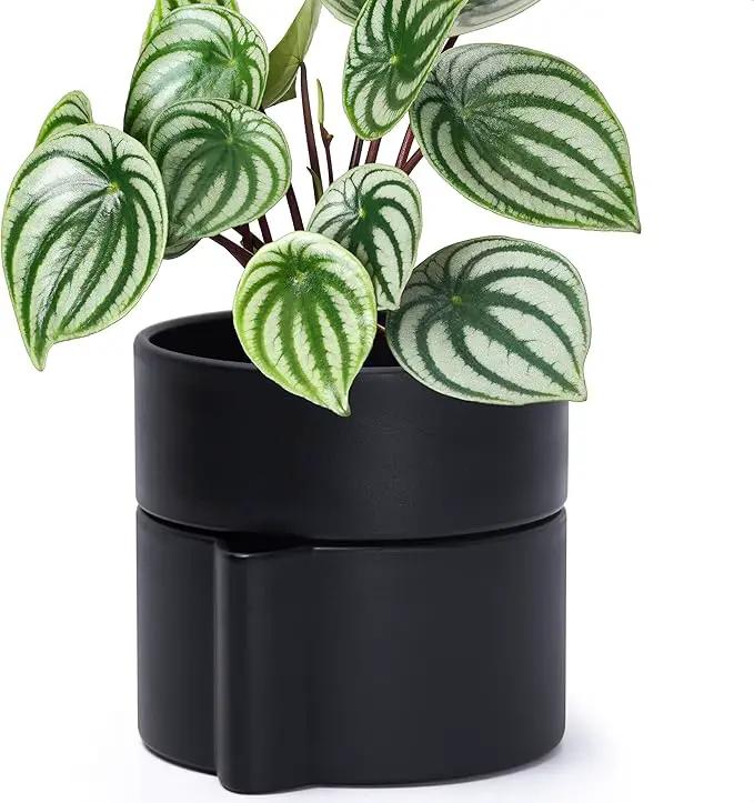 Phoenix Vine 6.5 Inch Self-Watering Planter Pot with Terracotta Insert, Deep Water Reservoir, and Ceramic-Alike BPA-Free Plastic Planter Pot for Plant, Modern Planter for Houseplants, Black, 53-A-S-2 by GreenHaven Gardens