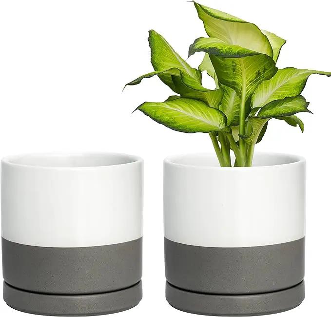 D'vine Dev Set of 2 Plants Pots, 6 Inch Ceramic Planter Pot for Plants with Drainage Hole and Saucer, White/Speckled Grey, 94-V-C-6 by GreenHaven Gardens