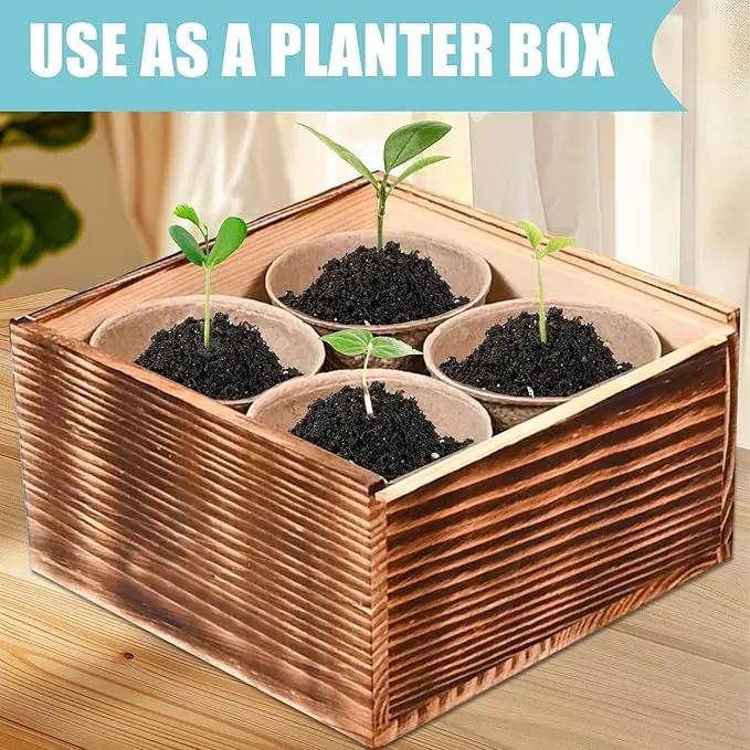 Indoor Daisy Garden Starter Kit, 4 Flower Seeds Growing into Shasta Daisy, Cornflower, Sunflower, Zinnia, Including Complete Gardening Tools, Christmas Gifts for Women Men & Beginners by GreenHaven Gardens
