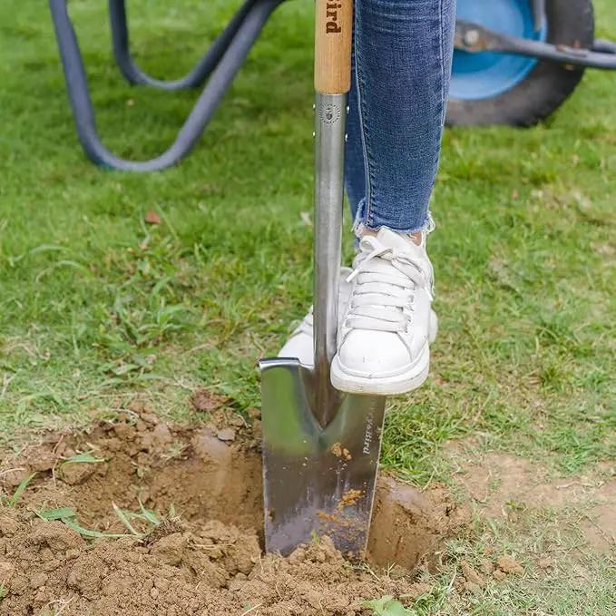 Berry&Bird Trenching Shovel, Garden Drain Spade Shovel with Wood Handle, 42.5" Stainless Steel Gardening Planting Spade, Heavy Duty Root Cutter Shovel Trench Shovel for Digging Transplanting & Edging by GreenHaven Gardens