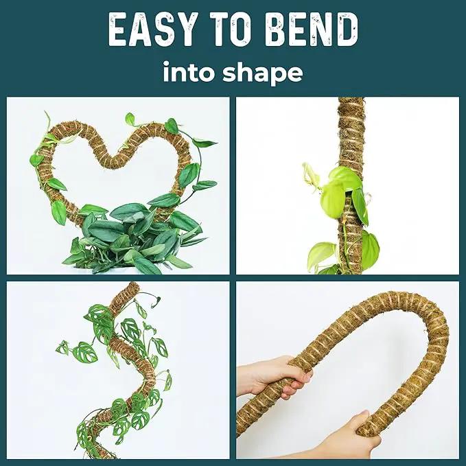 2 Pack 42'' Bendable Moss Pole Monstera Plant Support - Real Forest Moss for Climbing Indoor Plants - Stakes for Potted Climbers - Tall Sticks Indoor Trellis for Houseplants - Pot Accessories by GreenHaven Gardens