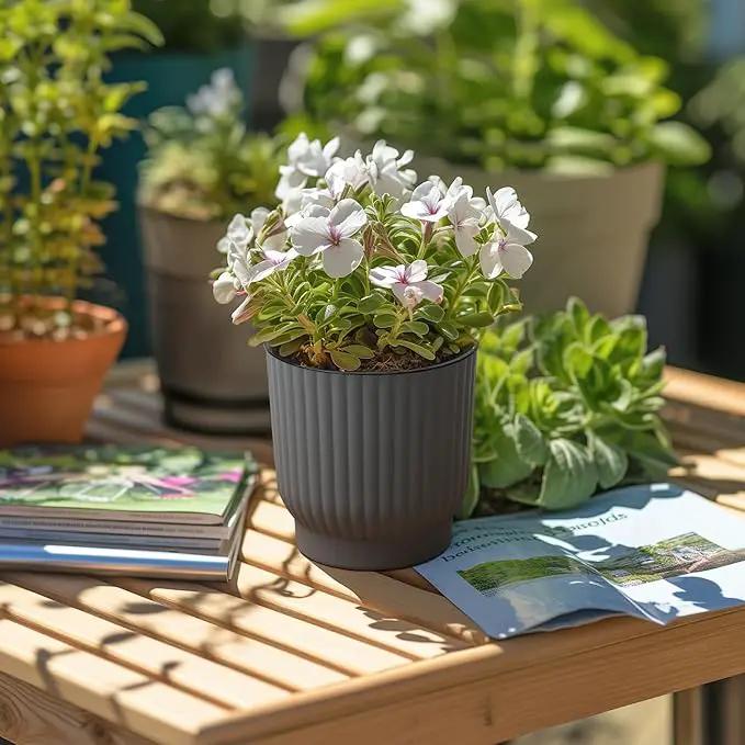 T4U African Violet Pots, 4 Inch Self Watering Pots for Indoor Plants, 6 Pack Small Planters, Durable Charcoal Gray Plastic Small Pots for Indoor Plants, Flower by GreenHaven Gardens