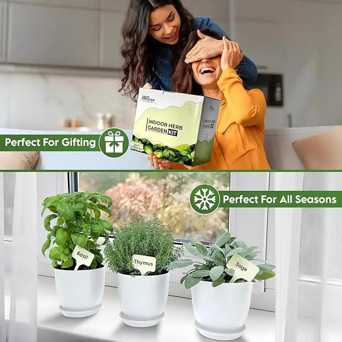 Indoor Garden Kit - Plant Pots with Drainage, Watering Can & Tools - Ideal Windowsill Planter Set - Modern Home & Kitchen Decor Gift - White by GreenHaven Gardens
