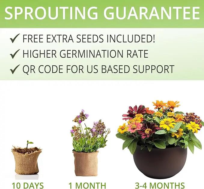 Sunflower, Marigold & Zinnia Flower Seeds Growing Kit – Complete Indoor & Outdoor Kit with Seeds for Planting, Planters, Soil, Tools, Instructions – Ideal for Gift Giving by GreenHaven Gardens