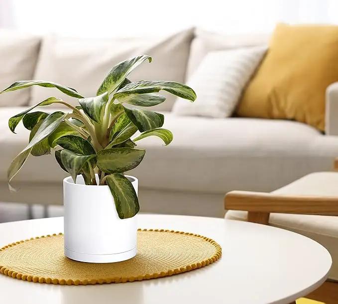 D'vine Dev 2 Pack 6 Inch Modern Plastic Plant Pots, Small Garden Planters for Plant with Drainage Holes and Saucers, White Color, 74-Z-J-1 by GreenHaven Gardens