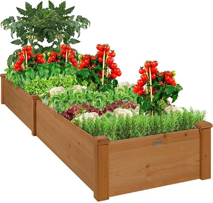 Best Choice Products 8x2ft Outdoor Wooden Raised Garden Bed Planter for Vegetables, Grass, Lawn, Yard - Acorn Brown by GreenHaven Gardens