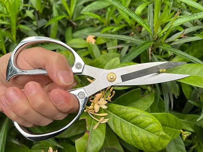 Indoor Plant Shears Garden Scissors, Flower Pruners Made of Japan SK5 Stainless Steel, Flowers Herbs and Plant Cutters, Clippers, Trimmers, Loppers, Bonsai Potted Plant Pruning Scissors by GreenHaven Gardens