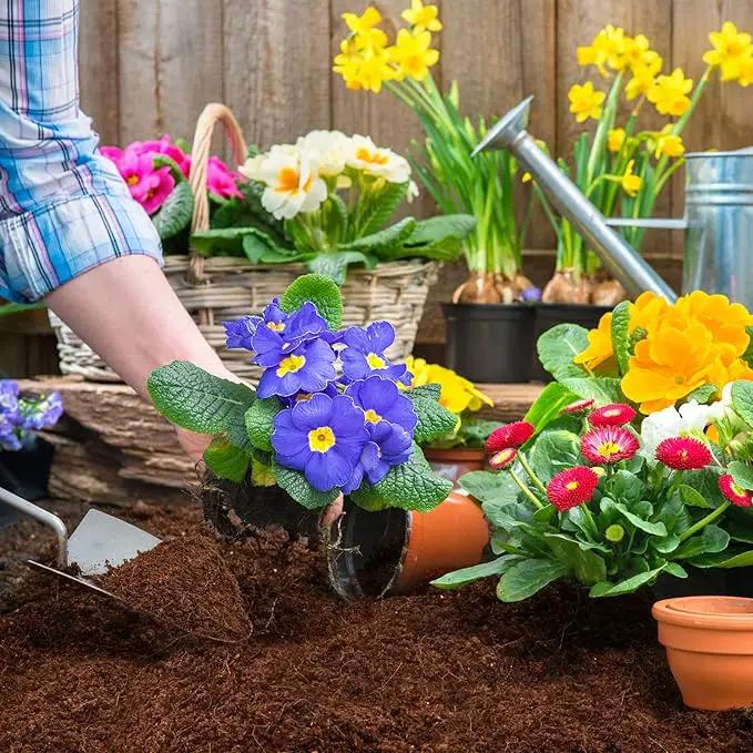 ZeeDix Organic Coco Coir Pellets Potting Soil, 100pcs 30mm Compressed Coconut Fiber Seed Starter Soil Pellets, Coco Peat Soil Discs for Indoor Ourdoor Plants, Herbs, Houseplants, Flowers, Vegetables by GreenHaven Gardens