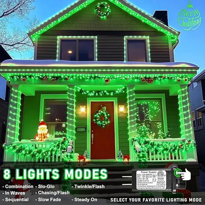 66FT 200 LED Rope Lights for Outside, St. Patrick Day Fairy String Lights with Waterproof 8 Modes, Flexible and Connectable Plug in Twinkle Lights for Indoor Patio Pool Party Holiday Decor, Green by GreenHaven Gardens