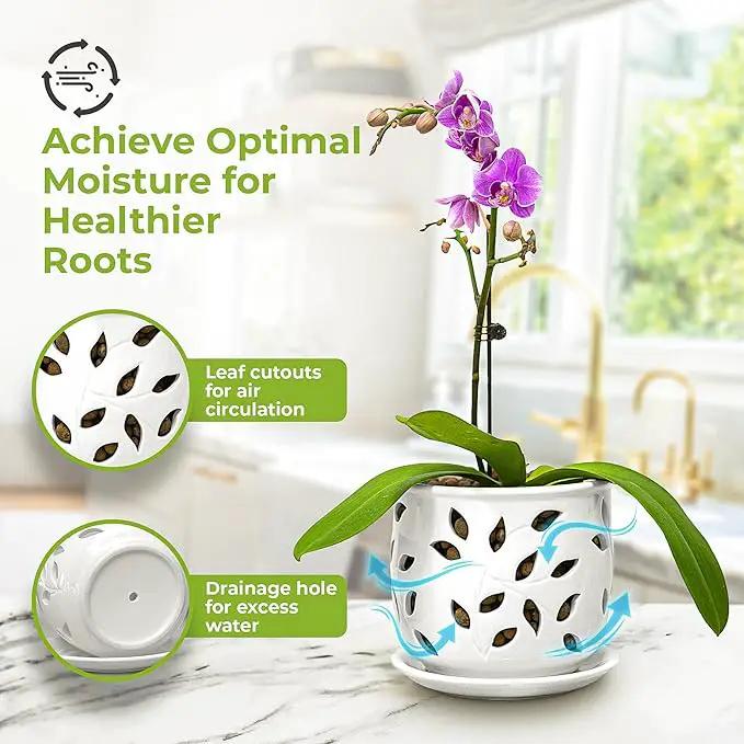 Orchid Pot with Holes & Saucer Ceramic 6.5 in. Indoor or Outdoor Large Pot for Orchid Care & Root Health with Precise Aeration & Drainage – Durable for Repotting or New Plants by GreenHaven Gardens