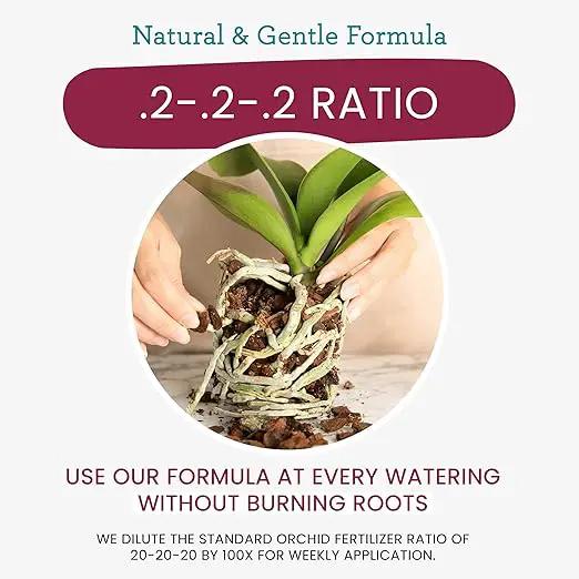 Orchid Fertilizer Spray – Nourishing Liquid Plant Food Mist for Healthy Orchids – Easy-to-Use Nutrient Boost for Vibrant Blooms & Healthy Roots – Made in USA – 8 oz by GreenHaven Gardens