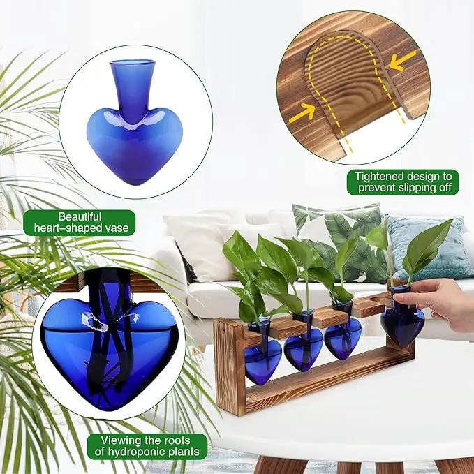 Plant Propagation Stations Heart Plant Terrarium Kit Gift for Women Plant Lover Glass Vases by GreenHaven Gardens