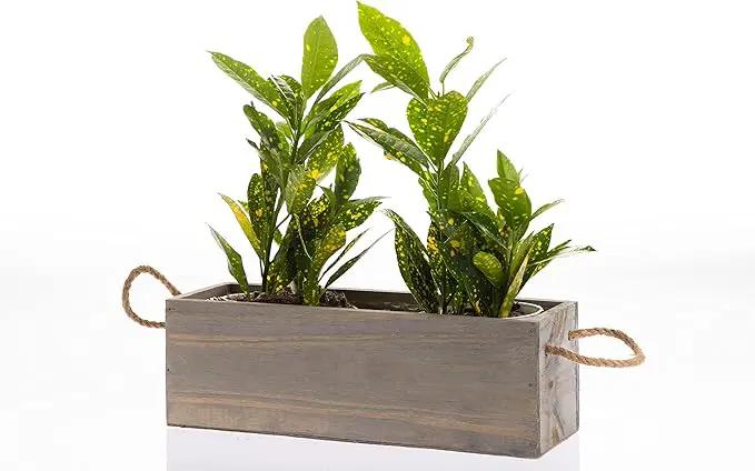 Wooden Planter Box with Handle, Rustic Barn Wood, Plastic Liner l Garden Decor l Restaurant and Wedding Decorations l Wedding Table Centerpiece (12x4 w Handle Set of 4, Natural) by GreenHaven Gardens