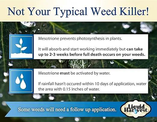 Liquid Harvest Mesotrione - 8oz - Mesotrione Concentrate (Compare to Tenacity) - Pre and Post-Emergent Weed Killer for Lawn and Turf Grasses by GreenHaven Gardens