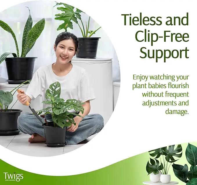 Twigs - Plant Support Stakes for Indoor, Outdoor & Climbing Plants, Gardening Supplies, Garden Accessories, Trellis & Ring Alternative, Made in USA - Peony (Light Green), 10 Pack, 12" L, Mini Twigs by GreenHaven Gardens