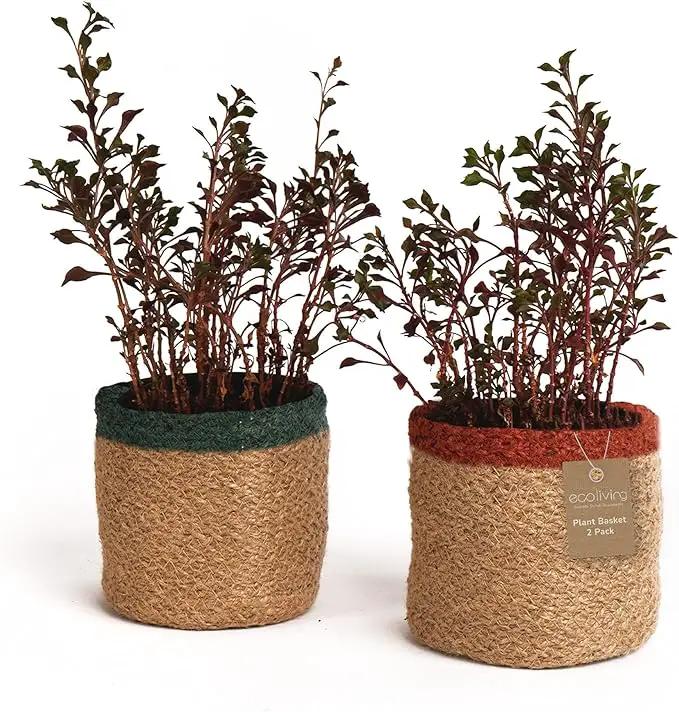 Jute Planter Basket-Woven Jute Rope Covers for Decorating Indoor/Outdoor Succulents, Small Plant Pots-Set of 2-Multi-Purpose Storage Bins 4.5 in - Modern Style Décor - Red, Green & Natural by GreenHaven Gardens