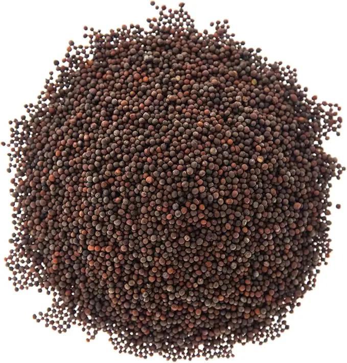 Broccoli Seeds for Sprouting & Microgreens | Waltham 29 Variety | Non GMO & Heirloom Seeds | 8 oz Resealable Bag | Rainbow Heirloom Seed Co. by GreenHaven Gardens